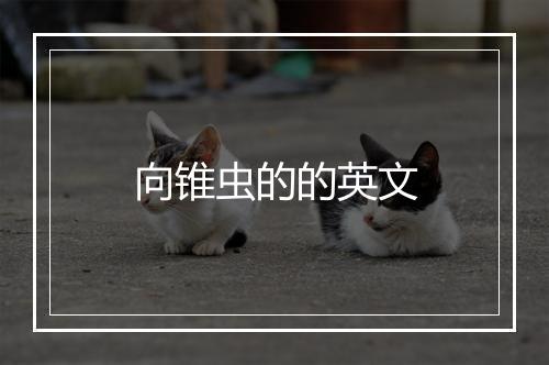 向锥虫的的英文