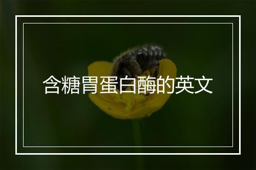 含糖胃蛋白酶的英文