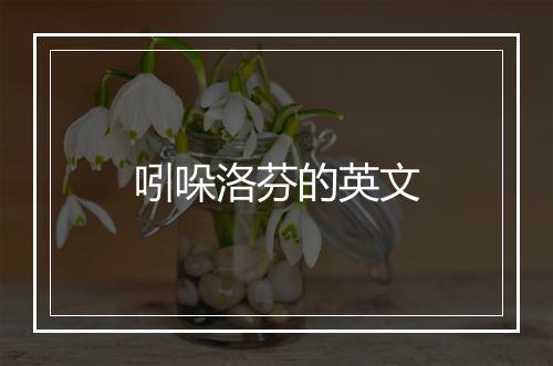 吲哚洛芬的英文