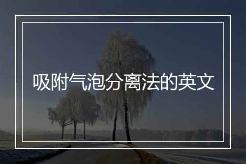 吸附气泡分离法的英文