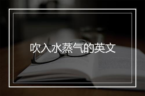 吹入水蒸气的英文