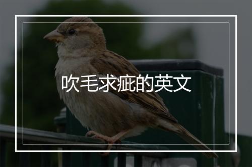 吹毛求疵的英文