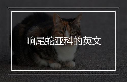 响尾蛇亚科的英文