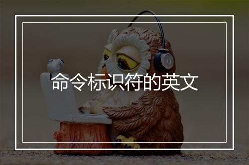 命令标识符的英文