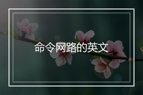 命令网路的英文