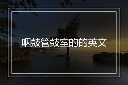 咽鼓管鼓室的的英文