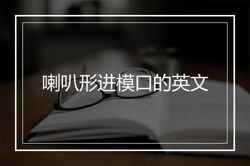 喇叭形进模口的英文