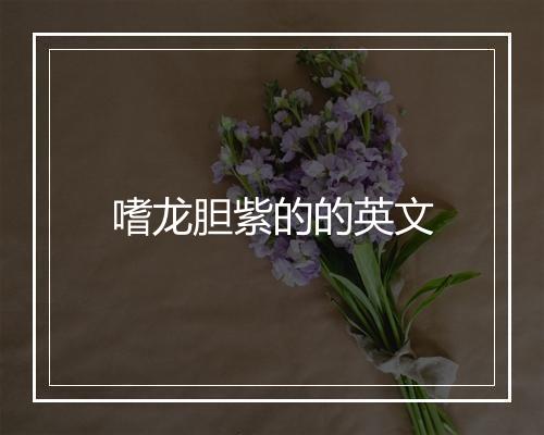 嗜龙胆紫的的英文