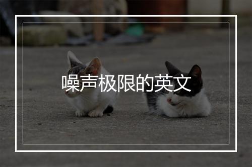 噪声极限的英文