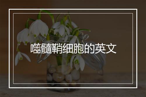 噬髓鞘细胞的英文