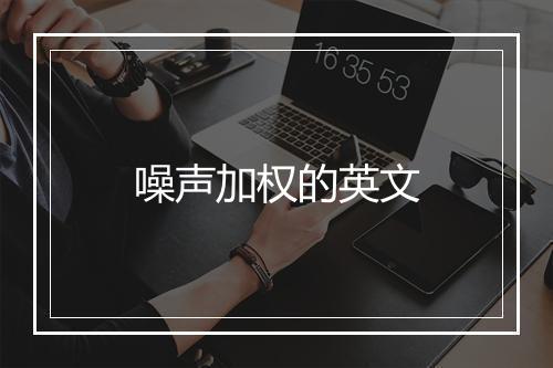 噪声加权的英文