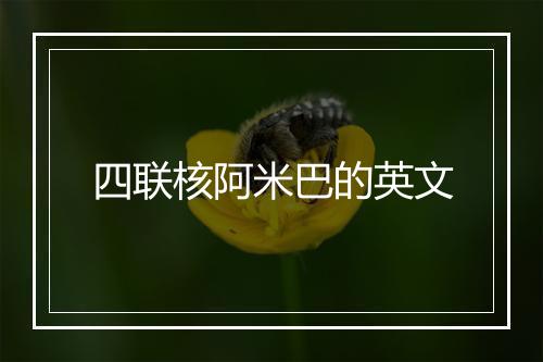 四联核阿米巴的英文