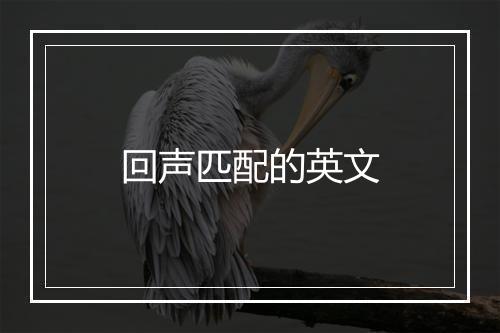 回声匹配的英文