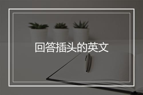 回答插头的英文