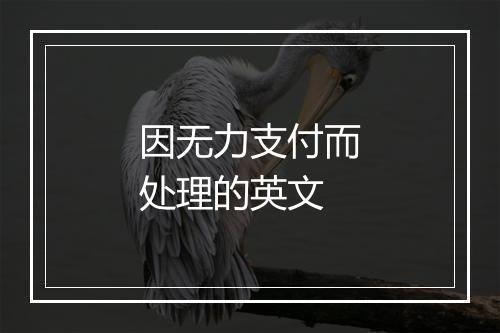 因无力支付而处理的英文