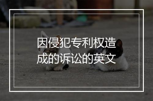 因侵犯专利权造成的诉讼的英文