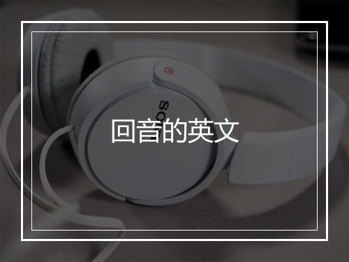 回音的英文