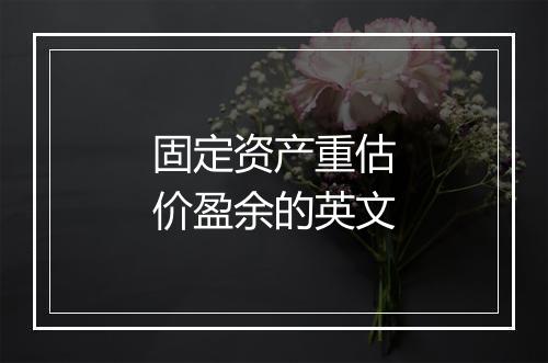 固定资产重估价盈余的英文