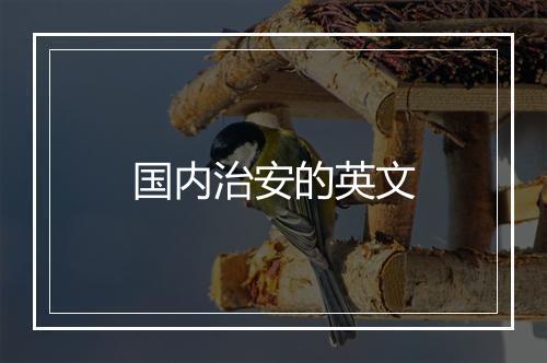 国内治安的英文