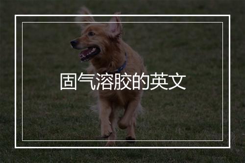 固气溶胶的英文