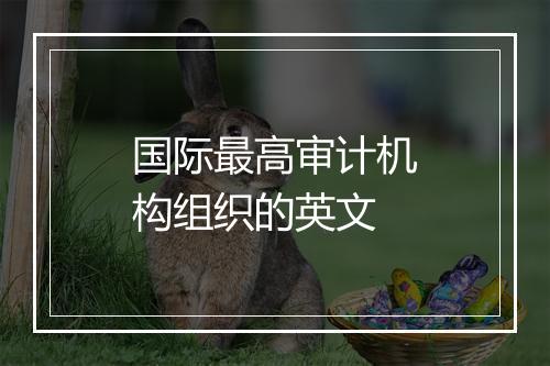 国际最高审计机构组织的英文