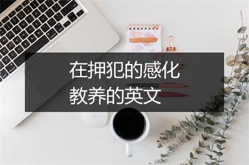 在押犯的感化教养的英文