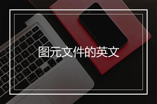 图元文件的英文