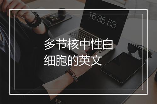 多节核中性白细胞的英文