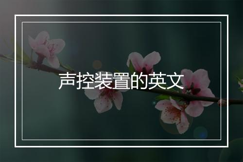 声控装置的英文