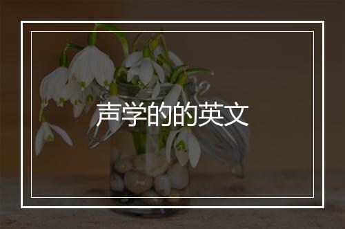 声学的的英文