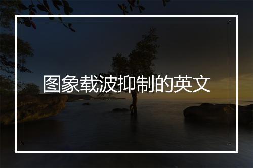 图象载波抑制的英文