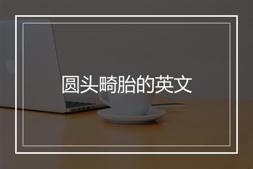 圆头畸胎的英文