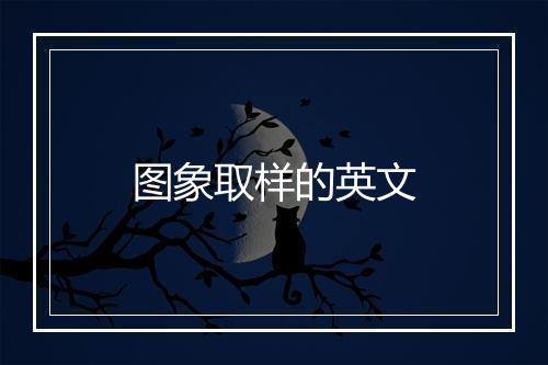 图象取样的英文