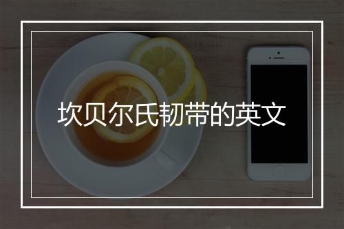 坎贝尔氏韧带的英文