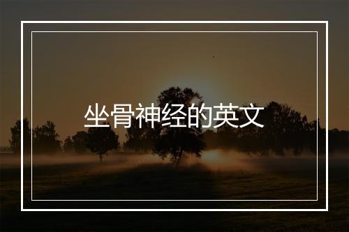 坐骨神经的英文