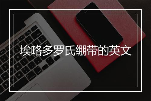 埃略多罗氏绷带的英文