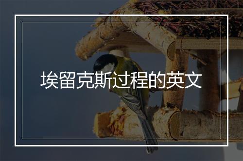 埃留克斯过程的英文