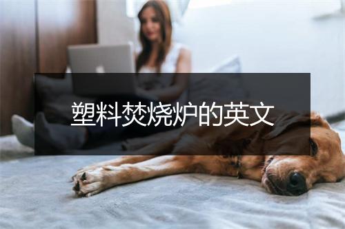 塑料焚烧炉的英文