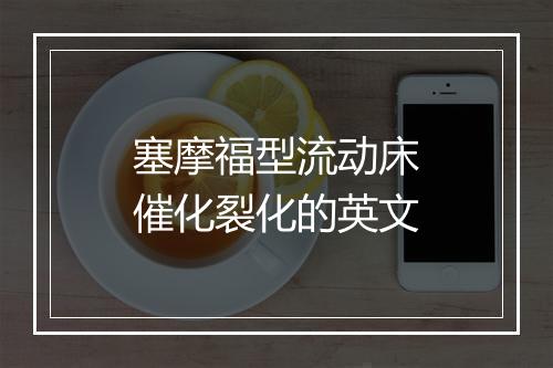 塞摩福型流动床催化裂化的英文