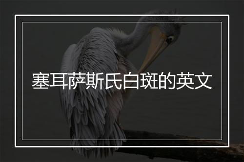 塞耳萨斯氏白斑的英文