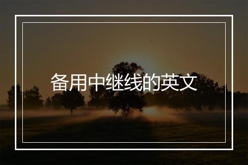 备用中继线的英文