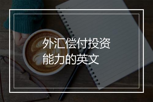 外汇偿付投资能力的英文