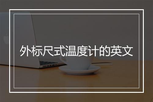 外标尺式温度计的英文