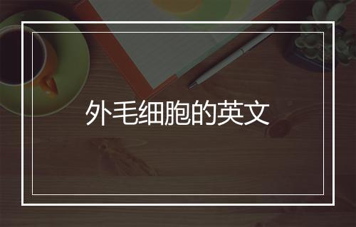 外毛细胞的英文