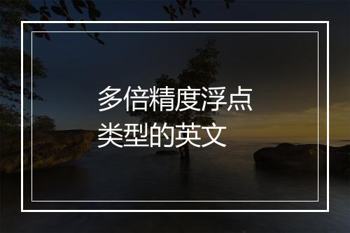 多倍精度浮点类型的英文