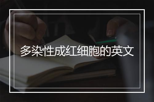 多染性成红细胞的英文