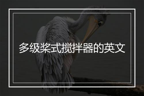 多级桨式搅拌器的英文