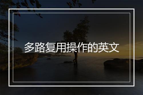 多路复用操作的英文