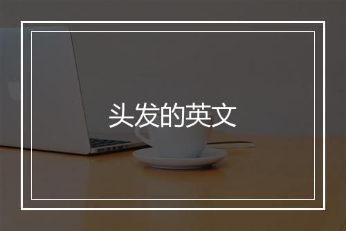 头发的英文