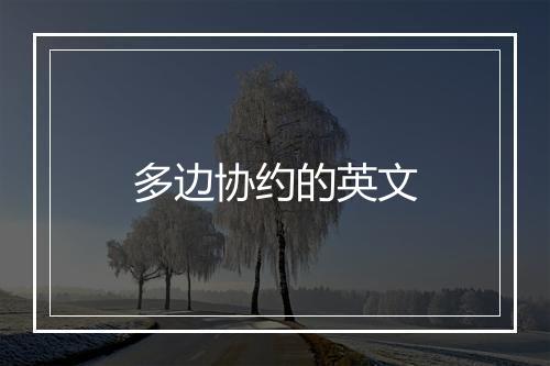 多边协约的英文